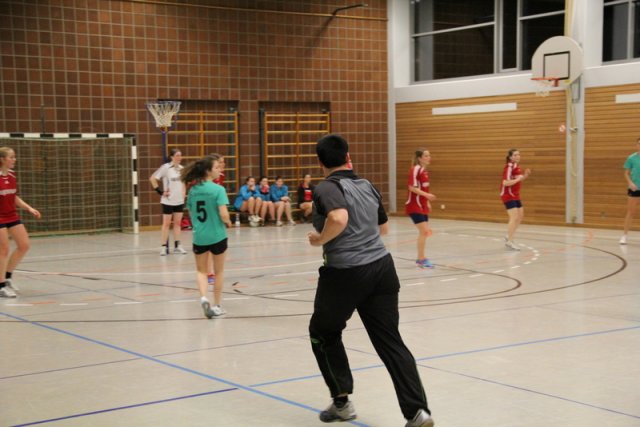 2016_01_23 Landesliga Frauen
